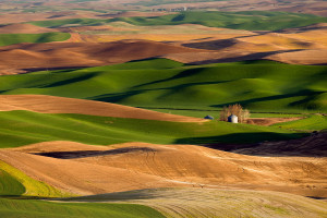中国网球的青训体系,能否培养出下一个大满贯冠军