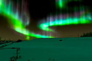 荣耀时刻!温网奖杯终属谁家悬念迭起!