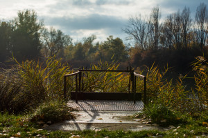 新星闪耀！MSI新人选手实力炸裂，未来可期！