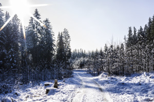 PUBG战神主播线下聚会，百人同屏吃鸡，场面一度失控！